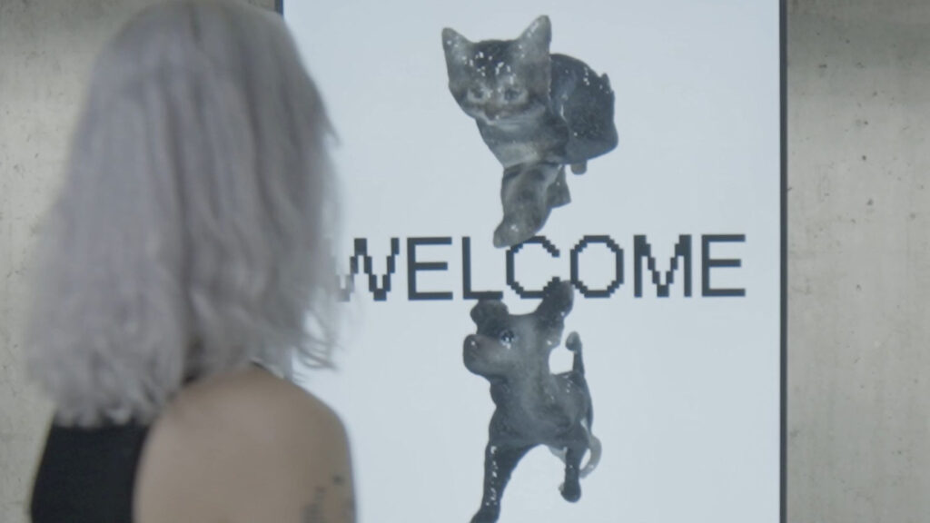 projekte_digital-pet_02